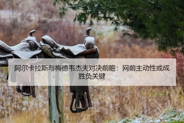 a-er-ka-la-si-yu-mei-de-wei-jie-fu-dui-jue-qian-zhan-wang-qian-zhu-dong-xing-huo-cheng-sheng-fu-guan-jian-2-628.jpg